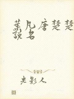 叶凡唐楚楚的小说名