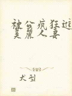 被公疯狂进入的美丽人妻