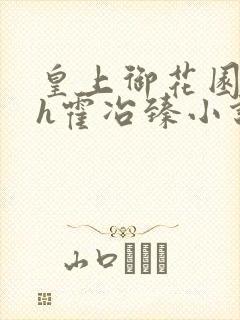 皇上御花园hlh霍冶臻小说