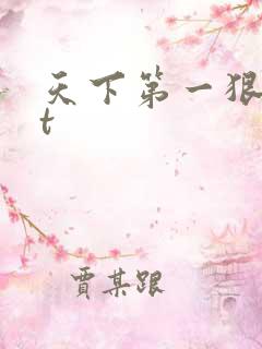 天下第一狠txt