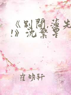 《别闹,薄先生!》沈繁星