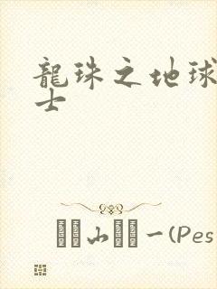 龙珠之地球人战士