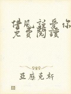 借风说爱你小说免费阅读