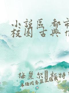 小说区 都市 校园 古典 偷拍