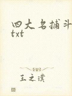 四大名捕斗将军txt