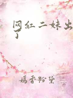 网红二妹出啥事了