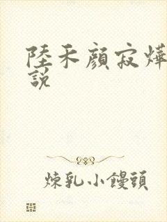 陆禾颜寂烨霖小说