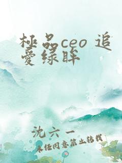 极品ceo 追爱绿眸