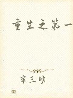 重生之第一名媛