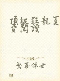 顶级狂龙夏天免费阅读