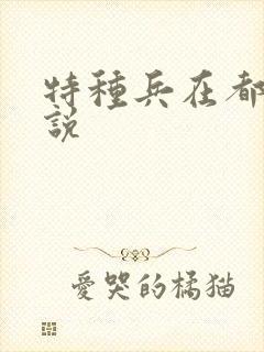 特种兵在都市小说