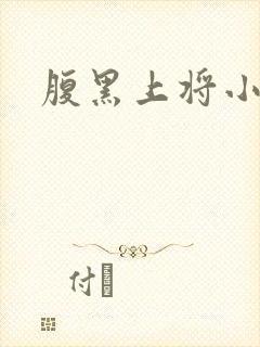 腹黑上将小小妻