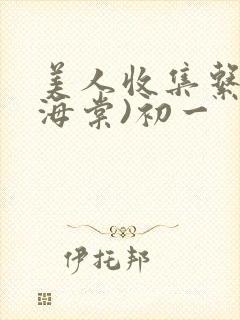 美人收集系统(海棠)初一