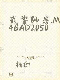 武警帅痞.MP4BAD2050