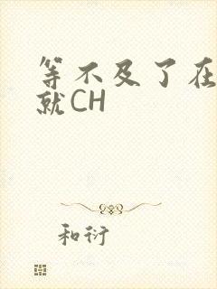 等不及了在车里就CH