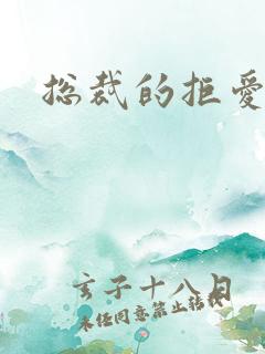 总裁的拒爱前妻