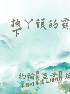 拽丫头的霸道殿下