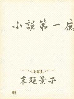 小说第一庶女