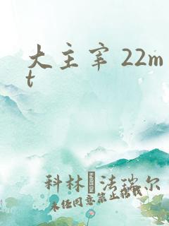 大主宰 22mt