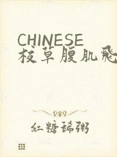 CHINESE校草腹肌飞机视频