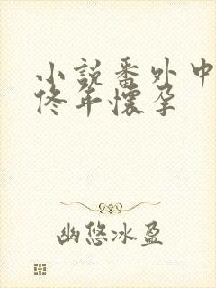 小说番外中结局佟年怀孕