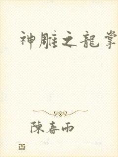 神雕之龙掌门