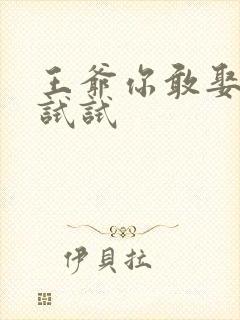 王爷你敢娶小三试试