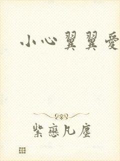 小心翼翼爱上你