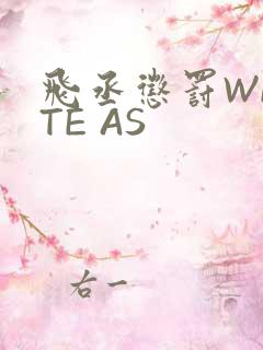 飞丞惩罚WRITE AS