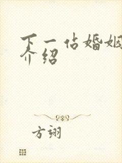 下一站婚姻剧情介绍