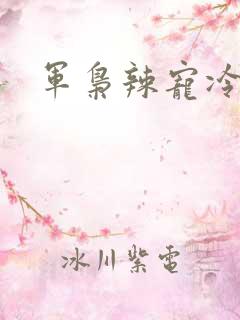 军枭辣宠冷妻