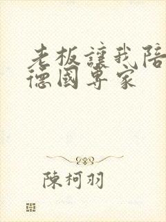 老板让我陪两个德国专家