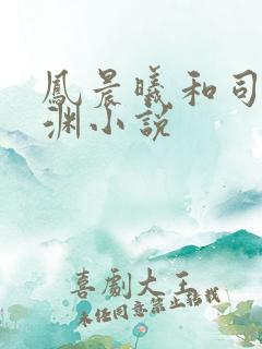 凤晨曦和司鸿颜渊小说