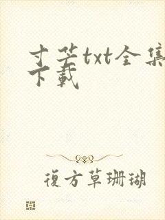寸芒txt全集下载