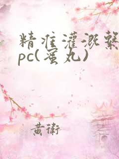 精准灌溉系统hpc(蜜丸)