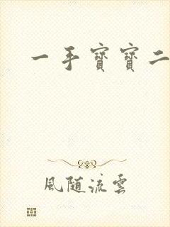 一手宝宝二手妻