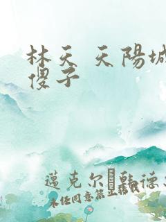林天 天阳城 傻子