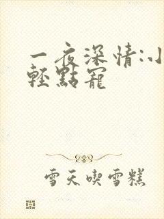 一夜深情:小叔轻点宠