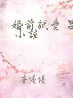 婚前试爱 吕颜 小说