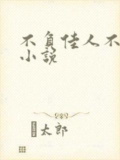 不负佳人不负卿小说