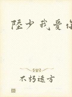 陆少 我爱你