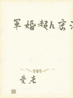 军婚超h密液
