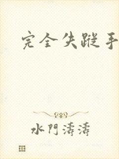 完全失踪手册
