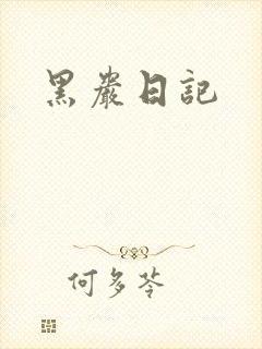 黑岩日记