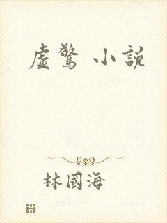 虚惊 小说