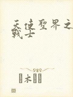 天使圣界之神之战士