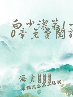 白少洁第1一40章免费阅读