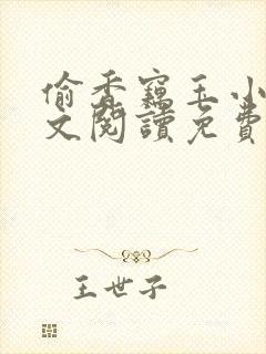 偷香窃玉小说全文阅读免费