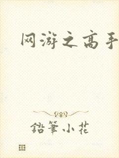 网游之高手寂寞