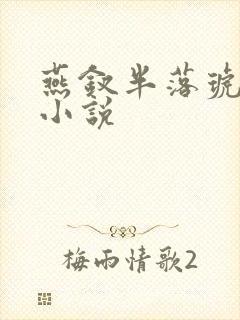 燕钗半落琥珀糖小说